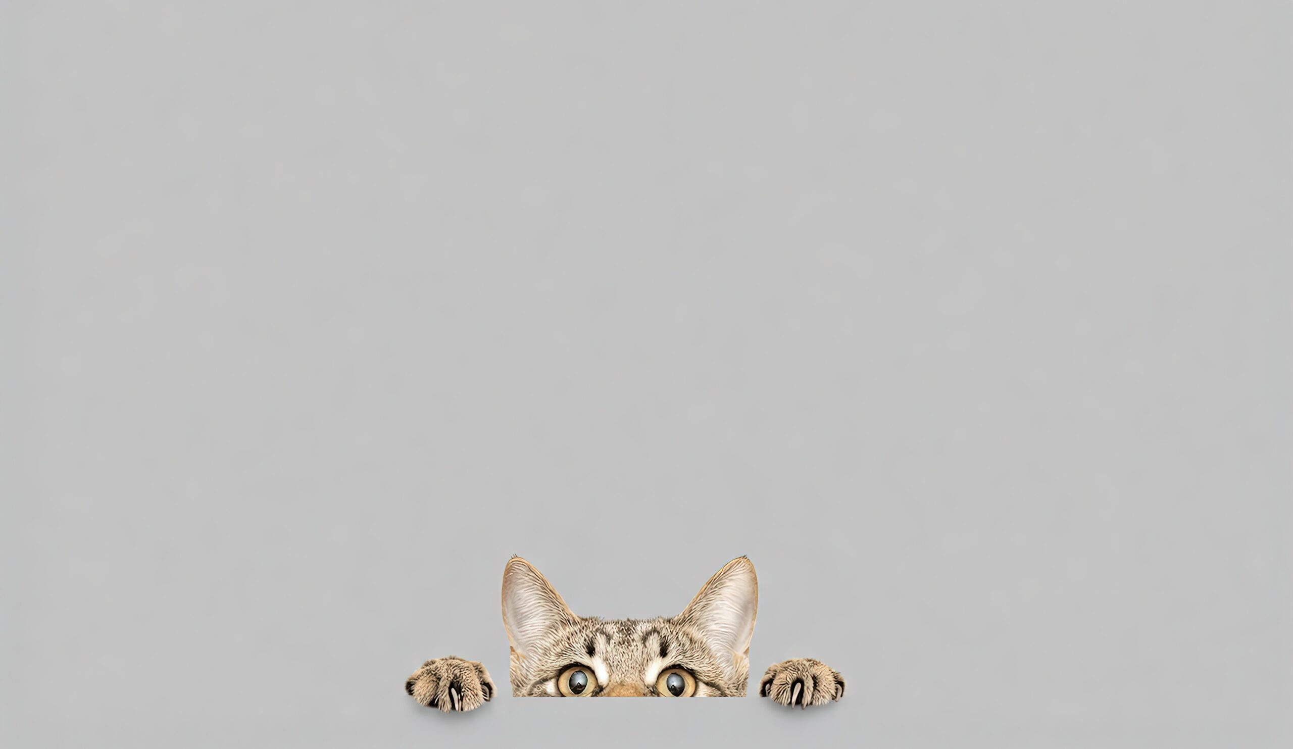 Tapis de bureau chat curieux – 35 x 61 cm