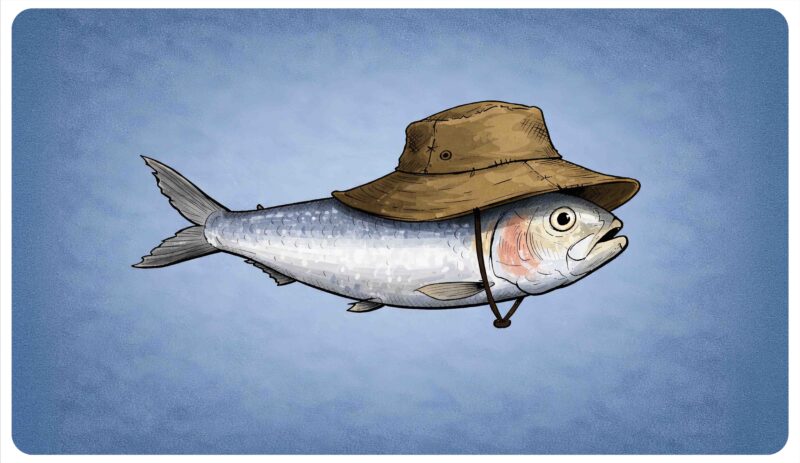 Tapis de bureau poisson chapeau – 35 x 61 cm